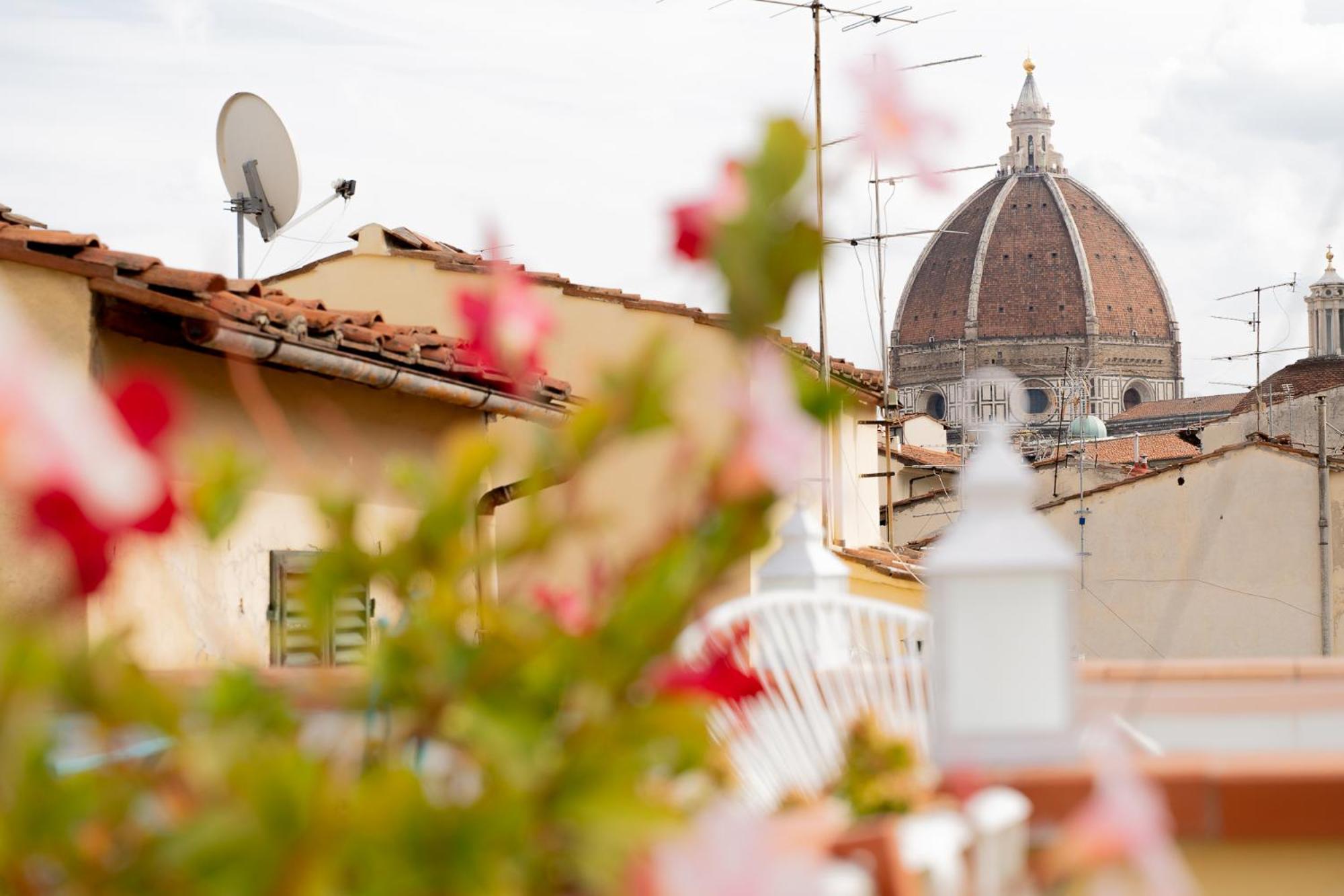 The Dream Terrace - Elena Grey Guest house *